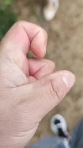 边上还有人！申精！